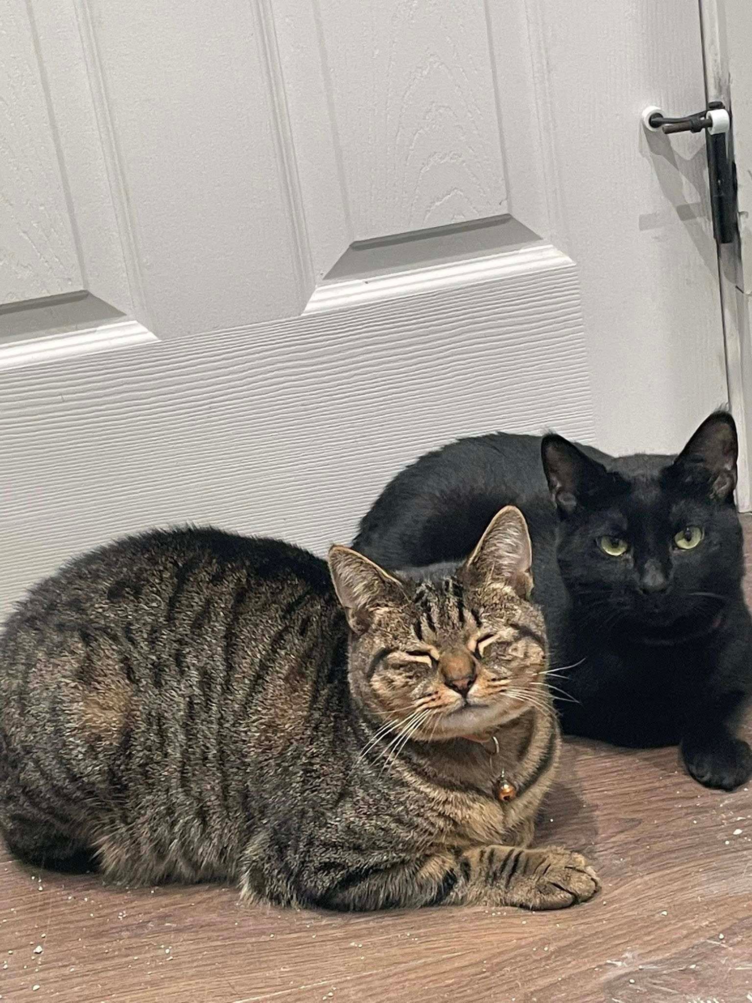Duo