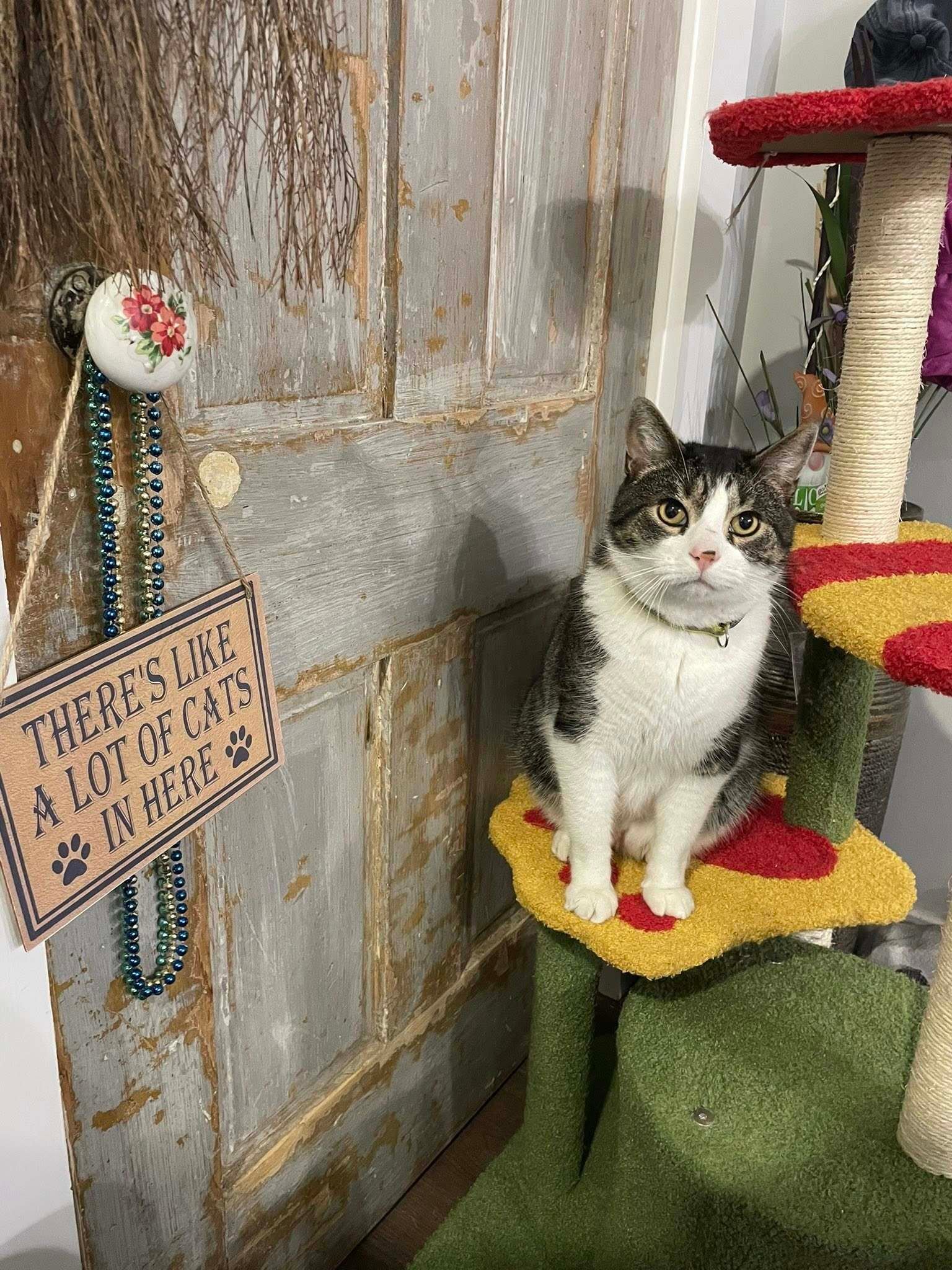 Marty